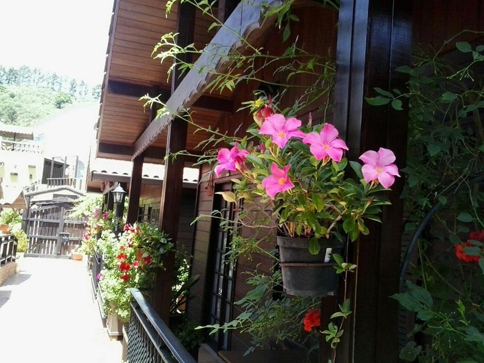 Cabanas Valle Verde Moya  Dış mekan fotoğraf