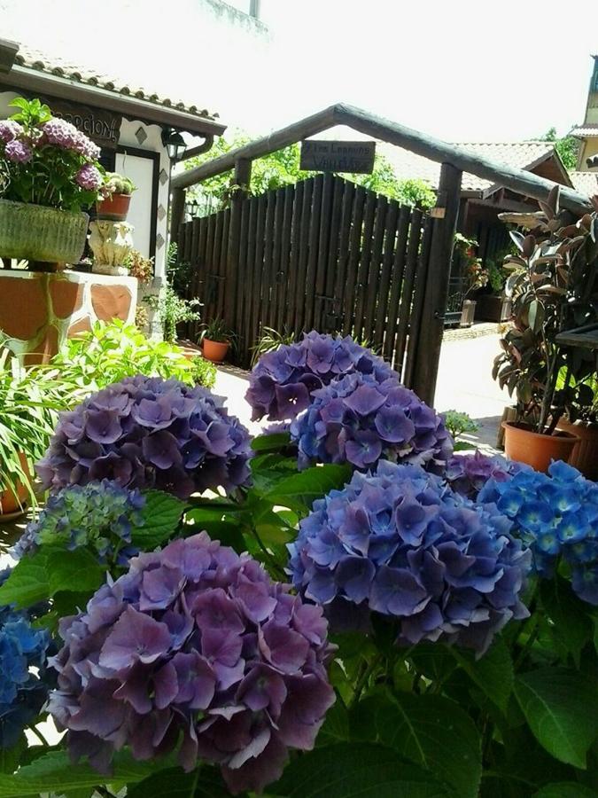 Cabanas Valle Verde Moya  Dış mekan fotoğraf