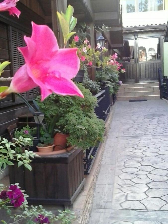 Cabanas Valle Verde Moya  Dış mekan fotoğraf